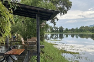 ร้านอาหารวังน้ำเขียว